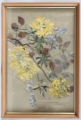 MABEL BRUCE-LOW (1883-1972) Honeysuckle and bluebells, gouache, 34.5cm x 54cm
