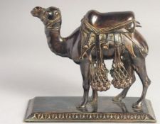A VERY FINE 19TH CENTURY INDIAN BRONZE CAMEL, mounted to a rectangular stand. Stand 23cms x 9.5cms.