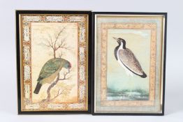 AFTER THE MUGHAL SCHOOL. Two paintings of birds, circa 1800. 9ins x 5ins.