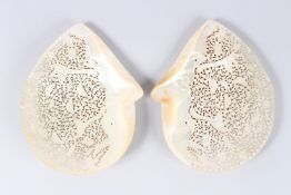 A SUPERB PAIR OF CHINESE PIERCED MOTHER-OF-PEARL SHELLS, pierced with birds and flowers. 8.5ins x