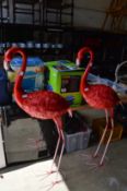 A pair of pink flamingo's.