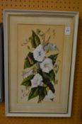 Madeleine Knight, Convolvulus, watercolour, signed.