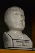 A reproduction phrenology head.