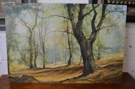 Mervyn Goode, beech trees on woodland slope in Autumn, signed and dated 1971, unframed.