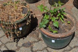 A pair of glazed plant pots.