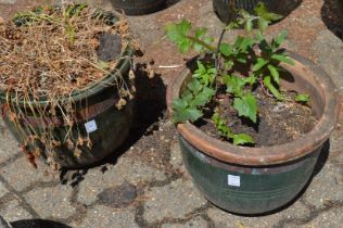 A pair of glazed plant pots.