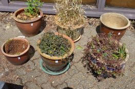 A group of six large glazed planters.