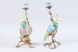 A PAIR OF COLOURFUL PORCELAIN PARROT CANDLESTICKS on gilt metal stands. 13ins high.