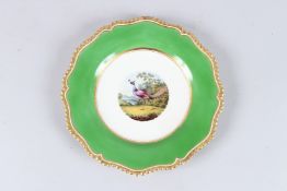 A WORCESTER APPLE GREEN BORDER BIRD PLATE with gilt gadrooned rim. 8.5ins diameter.
