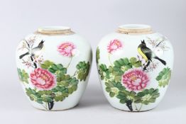 A PAIR OF CHINESE GINGER JARS painted with flowers and birds. 9.5ins high.