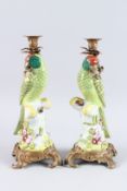 A GOOD PAIR OF SEVRES DESIGN GREEN AND YELLOW PORCELAIN PARROT CANDLESTICKS on gilt metal bases.