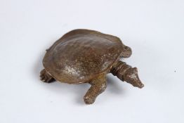 A JAPANESE BRONZE TURTLE. 3ins high.