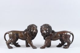 A PAIR OF BRONZE STANDING LIONS. 12ins high.
