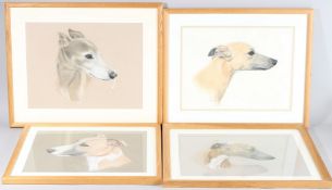 DIANA WEBBER Set of four head studies of Whippets, coloured chalks. all signed, largest 28cm by