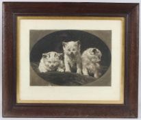 HERBERT DICKSEE (1862-1942) 'Three Kittens' mezzotint, signed in pencil, plate 25cm x 35cm