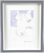 PATRICK PROCKTOR (1936-2003) head of a chestnut horse, pencil and watercolour wash, signed, 24cm x