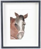 PATRICK PROCKTOR (1936-2003) 'Misty' head of a horse, pencil and watercolour wash, signed, 24cm x