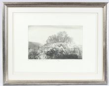 NORMAN ACKROYD (1938-2024) On Twyford Down, St Catherine's Hill, Winchester aquatint, signed in