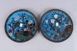 A PAIR OF CHINESE BLUE GROUND CLOISONNE DISHES, decorated with birds and flora. 30cms diameter.