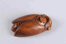 A CARVED HARDWOOD CICADA. 2.5ins.