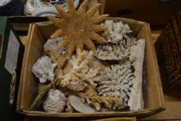 A quantity of coral.