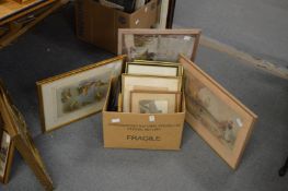 A collection of various pictures.