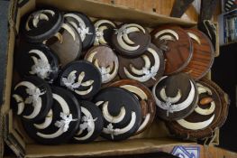 A quantity of boars tusks mounted on plaques.