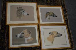 Diana Webber, a set of four head studies of whippets.