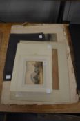 A small group of unframed watercolours and prints.