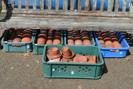 A large quantity of terracotta plant pots.
