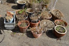 A quantity of plant pots and planters.