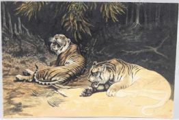 MANNER OF LANDSEER Two tigers resting. watercolour and pencil, partly unfinished, unframed, 18cm x