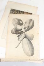 19TH CENTURY OLD MASTER AND LATER PRINTS assorted subjects and artists, including Angelica Kaufmann,