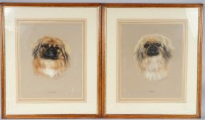 MARY BROWNING (20TH CENTURY) 'Toddy' and 'Chinky' Two portraits of Pekingese dogs, pair of pastels