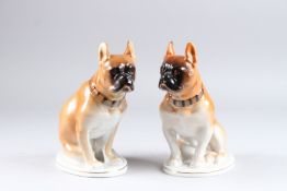A PAIR OF RUSSAIN LOMONOSOV PORCELAIN BULL DOGS on oval bases. 8ins high.