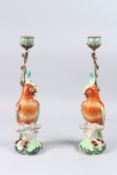 A PAIR OF DECORATIVE CANDLESTICKS, modelled as colourful parrots on naturalistic bases, 15.5in