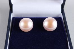 A PAIR OF PINK BUTTON PEARL BAR STUDS WITH 18CT YELLOW GOLD FITTINGS.