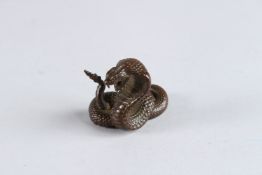 A BRONZE OKIMONO OF A COBRA, 1¾in high.