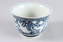 A CHINESE BLUE AND WHITE CIRCULAR PORCELAIN BOWL, painted with fish and algae, 6in diameter.