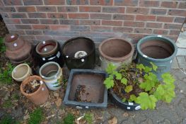 Large collection of garden pots.