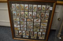 Will's cigarette cards depicting British birds, framed and glazed.