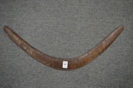 A boomerang with incised decoration.