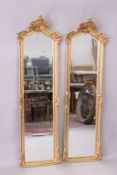 A PAIR OF DECORATIVE GILT FRAMED NARROW MIRRORS, with scroll work and flower crestings. 5ft 9ins