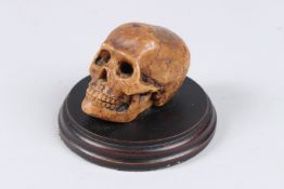 A SMALL RESIN SKULL. 3ins long.