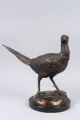 A BRONZE PHEASANT on a circular marble base. 13ins high.