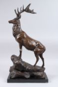 AFTER JULES MOIGNIEZ (1835 - 1894) FRENCH. A LARGE BRONZE STAG. 25ins high, on a marble base.