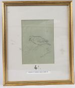 ARCHIBALD THORBURN (1860-1935) 'Pine Crossbeak' pencil sketch of a bird, initialled and dated in