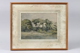 A AGOSTINI (19TH CENTURY) Trees on a riverbank, watercolour, attributed by an attached label, 21.5 x