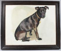 20TH CENTURY SCHOOL Study of a seated dog, oil on canvas, 59.5 x 75.5cm