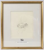 ARCHIBALD THORBURN (1860-1935) pencil sketch of a dove, 19.5 x 16.5cm